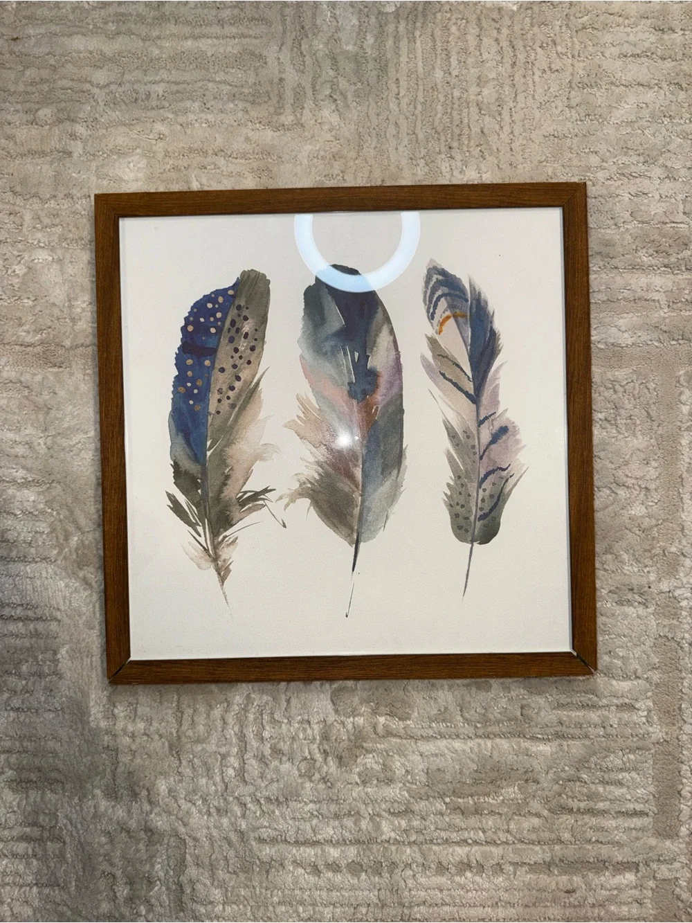 Framed Feather Wall Art 16x16 Watercolor Boho Blue Gold Rustic Nature Decor